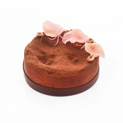 Cacao Barry Cocoa Powder Decor - 1kg